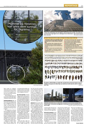norrlandskasocialdemokraten-20250627_000_00_00_021.pdf