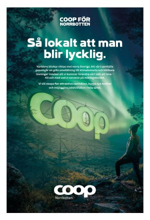 norrlandskasocialdemokraten_affarer-20221021_000_00_00_032.pdf