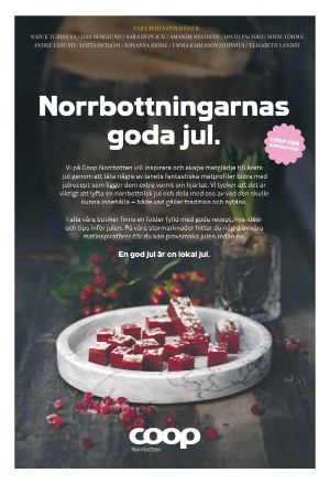 norrlandskasocialdemokraten_affarer-20221118_000_00_00_036.pdf