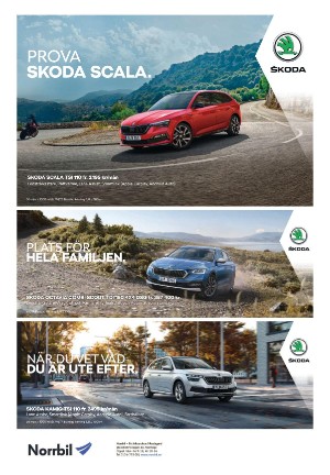 norrteljetidning-20210226_000_00_00_009.pdf