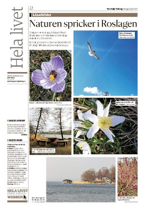 norrteljetidning-20210409_000_00_00_022.pdf