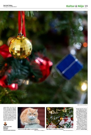 norrteljetidning-20241223_000_00_00_019.pdf