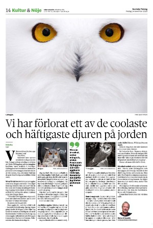 norrteljetidning-20251114_000_00_00_014.pdf