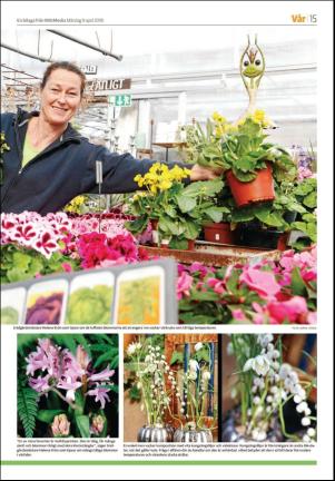 norrteljetidning_b-20180409_000_00_00_015.pdf