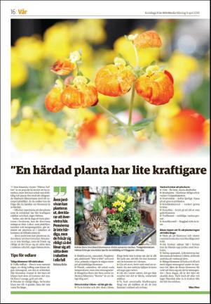 norrteljetidning_b-20180409_000_00_00_016.pdf