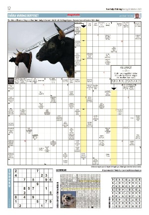norrteljetidning_b-20211022_000_00_00_012.pdf
