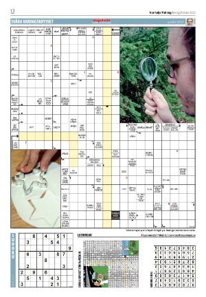 norrteljetidning_b-20220325_000_00_00_012.pdf