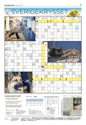 norrteljetidning_b-20220617_000_00_00_015.pdf