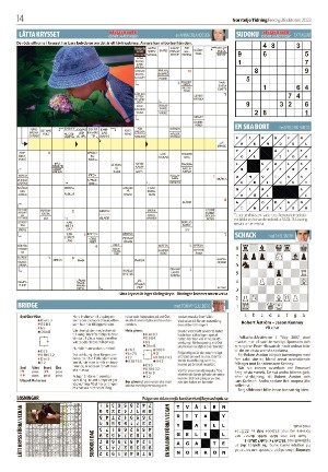 norrteljetidning_b-20221028_000_00_00_014.pdf