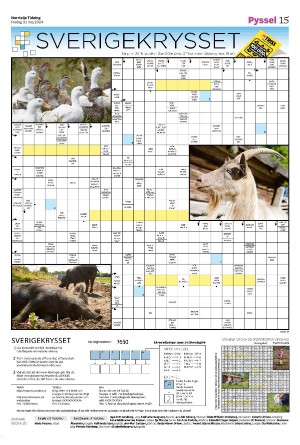 norrteljetidning_b-20240531_000_00_00_015.pdf