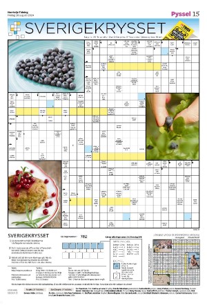 norrteljetidning_b-20240816_000_00_00_015.pdf