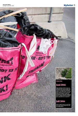 norrteljetidning_b-20240901_000_00_00_005.pdf