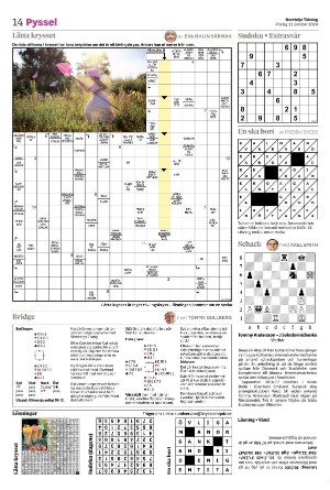 norrteljetidning_b-20241011_000_00_00_014.pdf