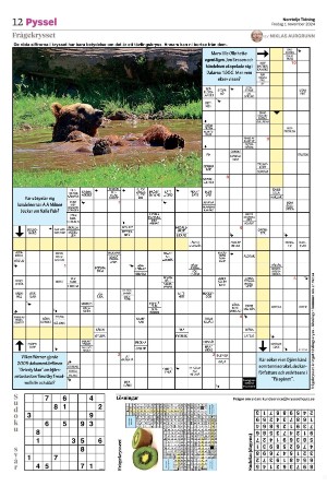 norrteljetidning_b-20241101_000_00_00_012.pdf