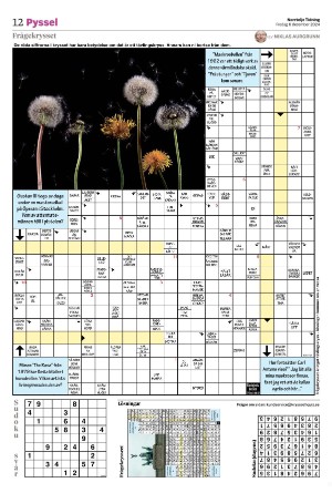 norrteljetidning_b-20241206_000_00_00_012.pdf