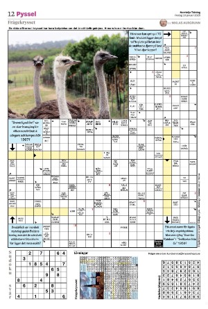 norrteljetidning_b-20250110_000_00_00_012.pdf