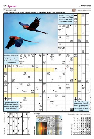 norrteljetidning_b-20250124_000_00_00_012.pdf