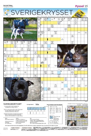 norrteljetidning_b-20250605_000_00_00_015.pdf