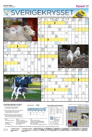 norrteljetidning_b-20251031_000_00_00_015.pdf norrteljetidning_b-20251031_000_00_00_015.pdf