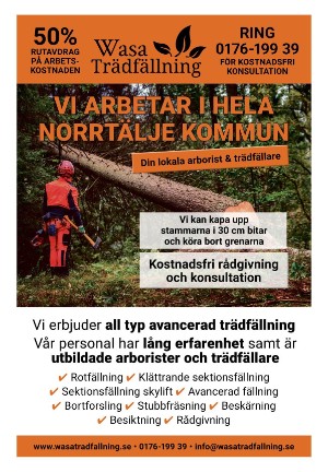 norrteljetidning_ra-20240618_000_00_00_055.pdf