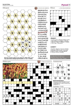 norrteljetidning_ra-20241110_000_00_00_005.pdf