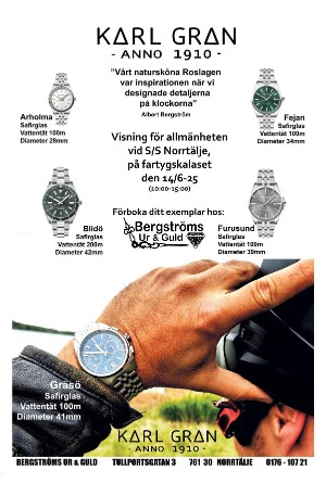 norrteljetidning_ra-20250617_000_00_00_029.pdf