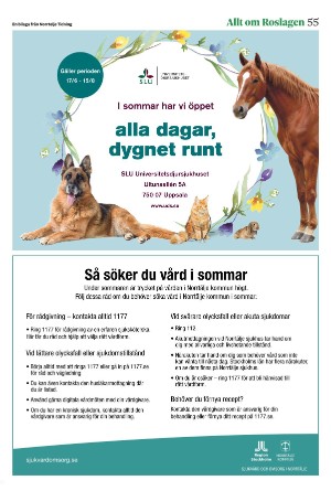 norrteljetidning_ra-20250617_000_00_00_055.pdf