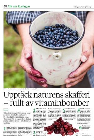 norrteljetidning_ra-20250617_000_00_00_058.pdf