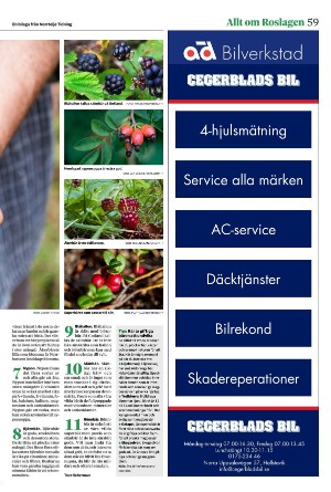 norrteljetidning_ra-20250617_000_00_00_059.pdf