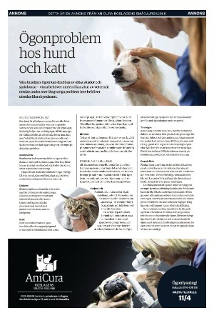 norrteljetidning_xl-20220224_000_00_00_022.pdf