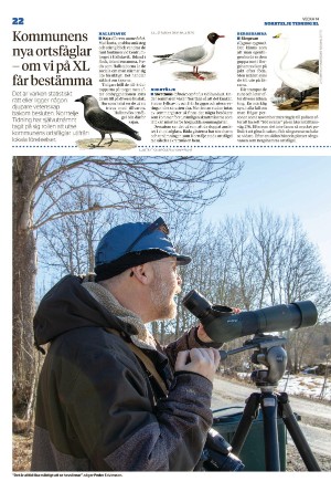 norrteljetidning_xl-20220407_000_00_00_022.pdf