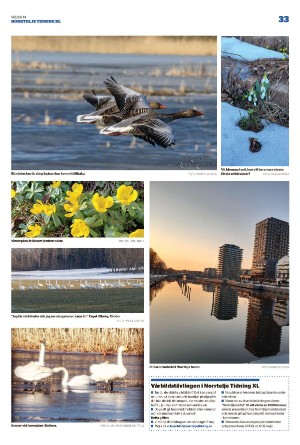norrteljetidning_xl-20220407_000_00_00_033.pdf