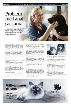 norrteljetidning_xl-20220428_000_00_00_019.pdf