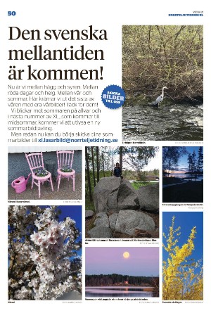 norrteljetidning_xl-20220524_000_00_00_050.pdf