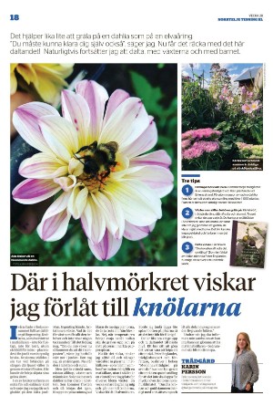 norrteljetidning_xl-20220714_000_00_00_018.pdf
