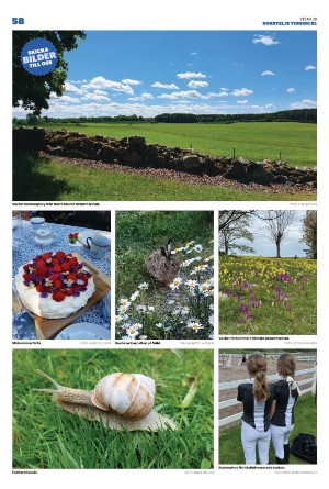 norrteljetidning_xl-20220714_000_00_00_058.pdf