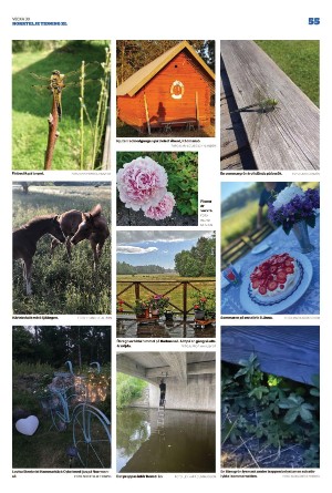 norrteljetidning_xl-20220728_000_00_00_055.pdf