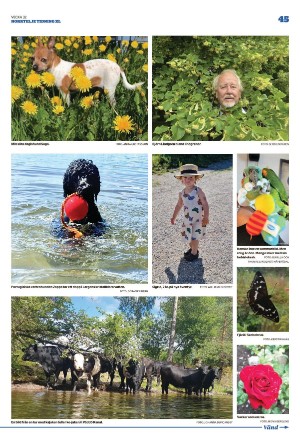 norrteljetidning_xl-20220811_000_00_00_045.pdf