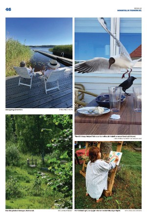 norrteljetidning_xl-20220811_000_00_00_046.pdf