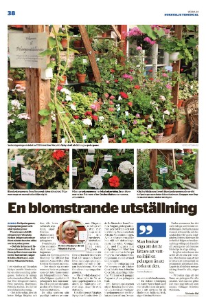 norrteljetidning_xl-20220825_000_00_00_038.pdf