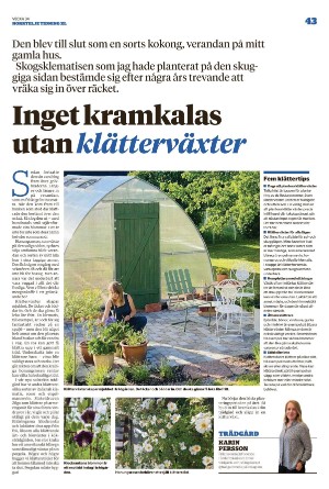 norrteljetidning_xl-20220825_000_00_00_043.pdf