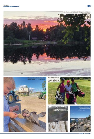 norrteljetidning_xl-20220825_000_00_00_045.pdf