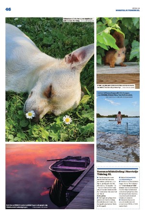 norrteljetidning_xl-20220825_000_00_00_046.pdf