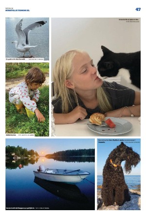 norrteljetidning_xl-20220825_000_00_00_047.pdf