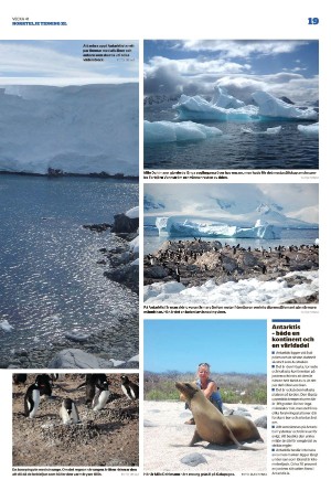 norrteljetidning_xl-20221013_000_00_00_019.pdf
