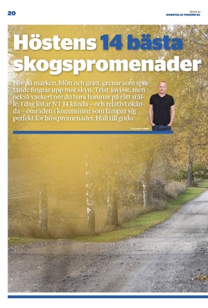 norrteljetidning_xl-20221027_000_00_00_020.pdf