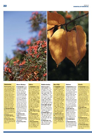 norrteljetidning_xl-20221027_000_00_00_022.pdf