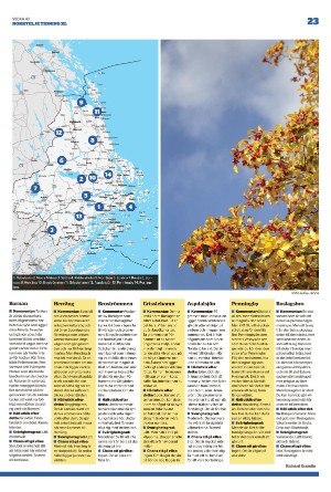 norrteljetidning_xl-20221027_000_00_00_023.pdf