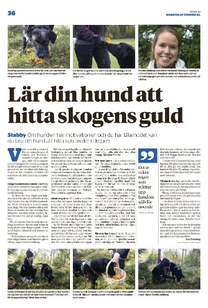 norrteljetidning_xl-20221027_000_00_00_036.pdf