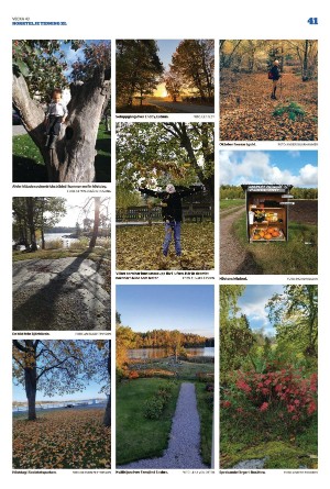norrteljetidning_xl-20221027_000_00_00_041.pdf
